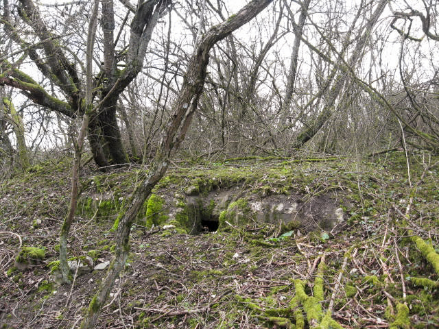 Ligne Maginot - TIEFGRABEN - (Abri) - Vue générale - Christian LENHARD