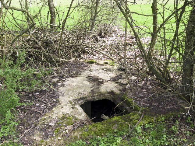 Ligne Maginot - TIEFGRABEN - (Stand de tir) - Restes du bâtiment de tir - Christian LENHARD