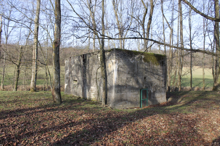 Ligne Maginot - VAL D'ACHEN 2 - (Blockhaus pour arme infanterie) - Façade arrière - Christian LENHARD