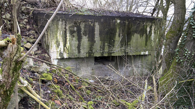Ligne Maginot - WEIDESHEIM 2 - (Blockhaus pour arme infanterie) -  - Association Les Bergers des Pierres