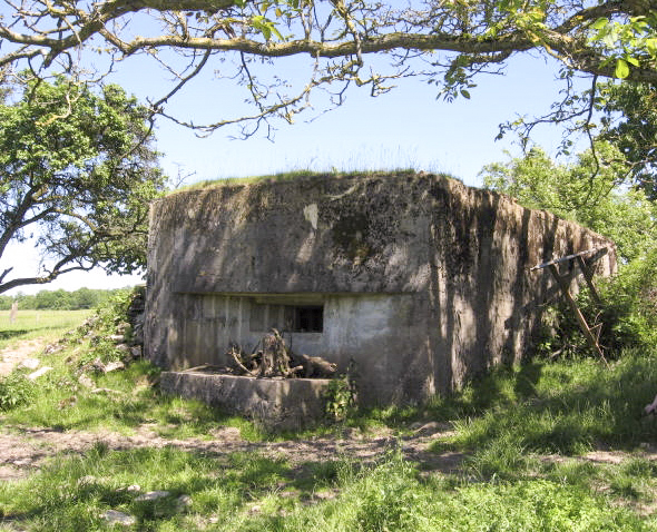 Ligne Maginot - WEIDESHEIM 3 - (Blockhaus pour arme infanterie) - Vue générale - Christian LENHARD