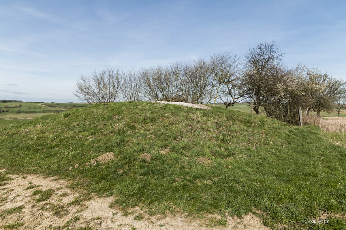 Ligne Maginot - X56 ( Chambre de coupure ) -  - Christian LENHARD