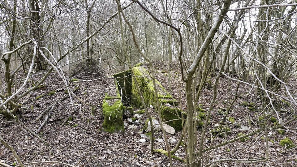 Ligne Maginot - Chambre de coupure X54 - La tranchée d'accès - LAUER Markus