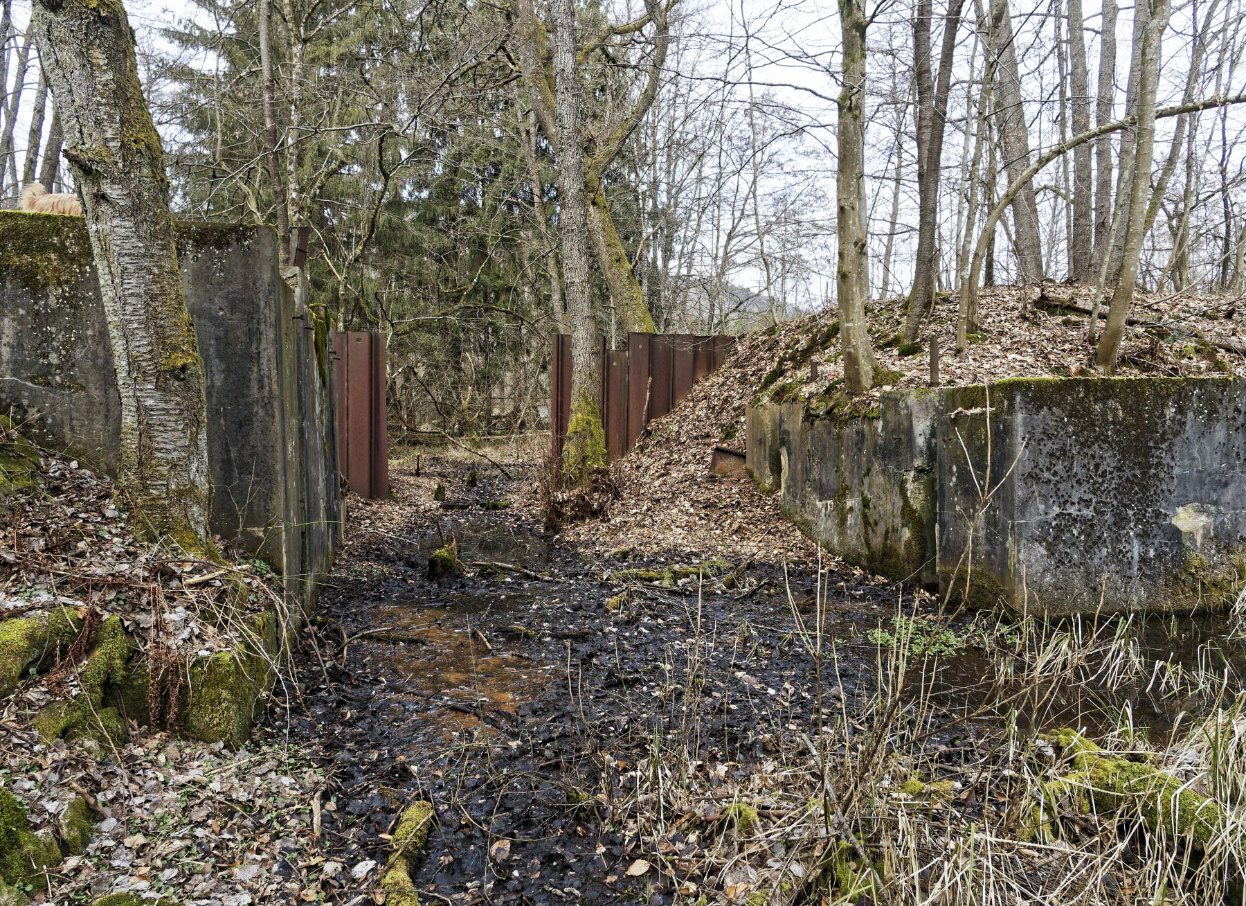 Ligne Maginot - WINECKERTHAL (BARRAGE 11) - (Inondation défensive) -  - Jürgen Morr