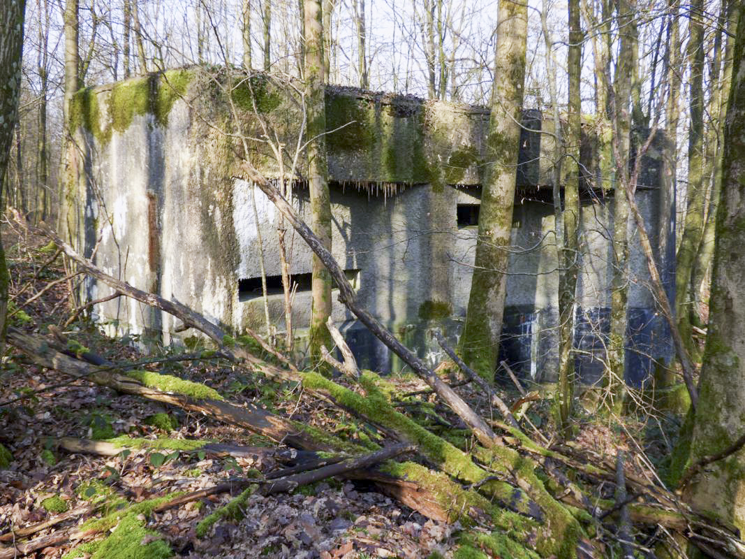 Ligne Maginot - A1 - LE GLACIS SUD - (Blockhaus pour canon) -  - JMBrams