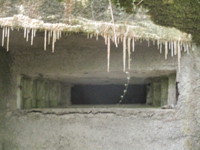 Ligne Maginot - A1 - LE GLACIS SUD - (Blockhaus pour canon) -  - Randonneur62