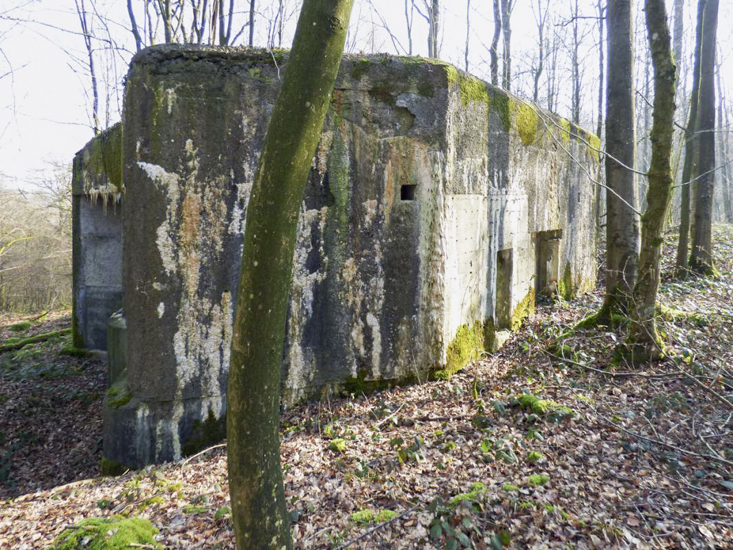 Ligne Maginot - A1 - LE GLACIS SUD - (Blockhaus pour canon) -  - JMBrams