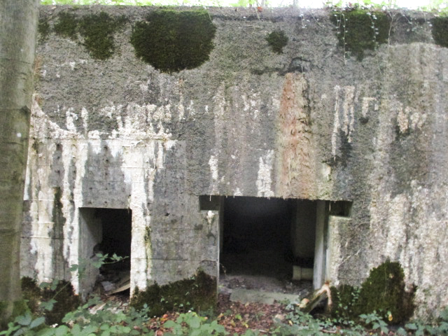Ligne Maginot - A1 - LE GLACIS SUD - (Blockhaus pour canon) -  - Randonneur62