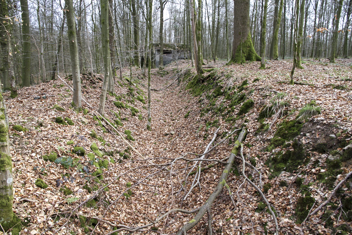 Ligne Maginot - A1 - LE GLACIS SUD - (Blockhaus pour canon) - Fossé 'antichar' ouest - Alain Perouffe