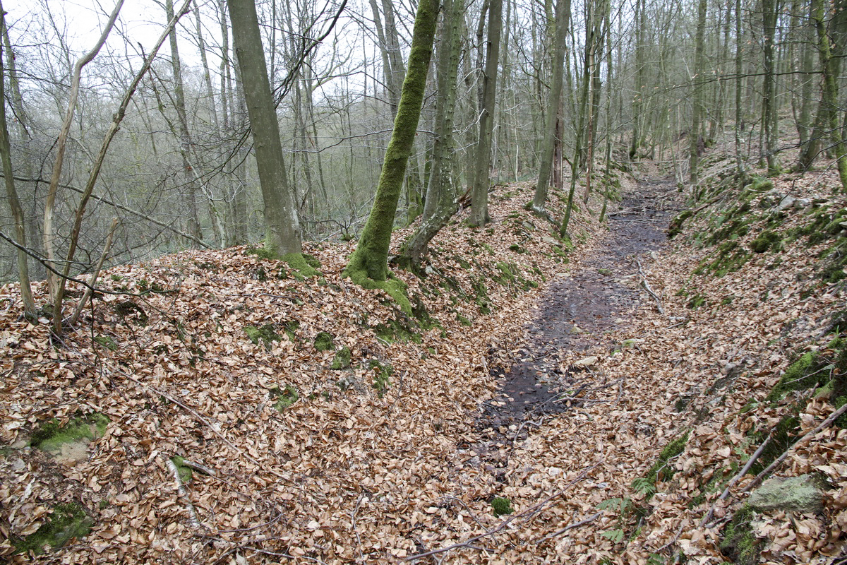 Ligne Maginot - A1 - LE GLACIS SUD - (Blockhaus pour canon) - Le fossé 'antichar' vers l'est - Alain Perouffe