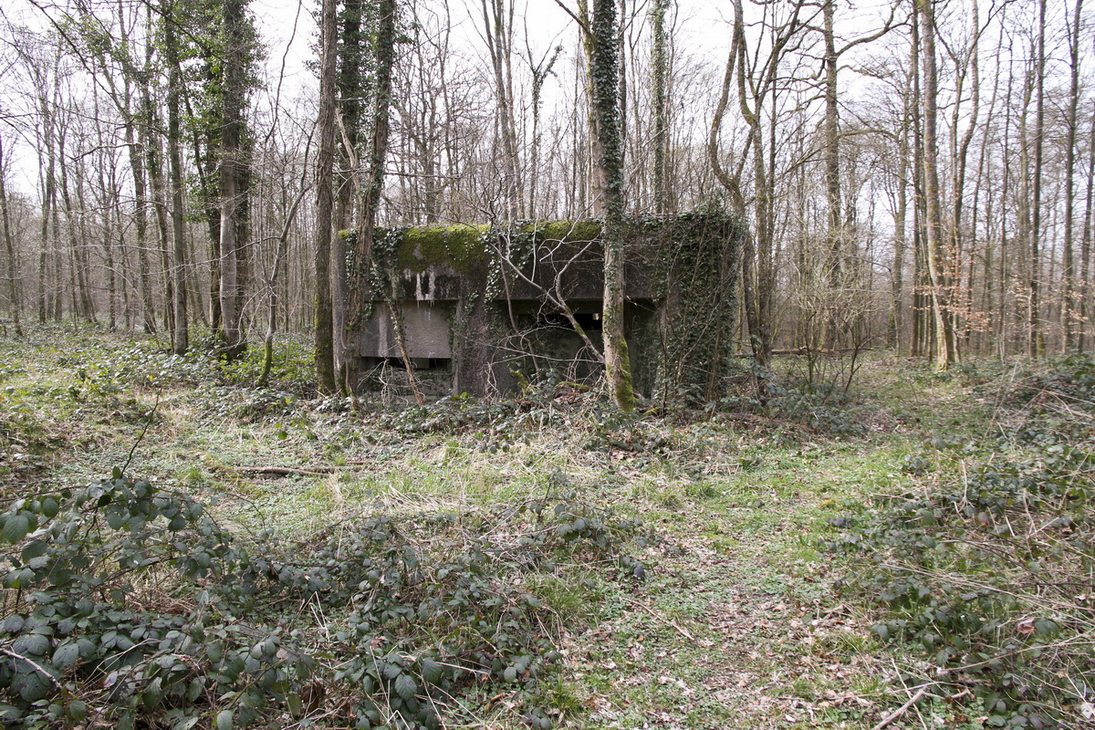 Ligne Maginot - A2 - MACQUENOISE NORD - (Blockhaus pour canon) -  - Alain Perouffe
