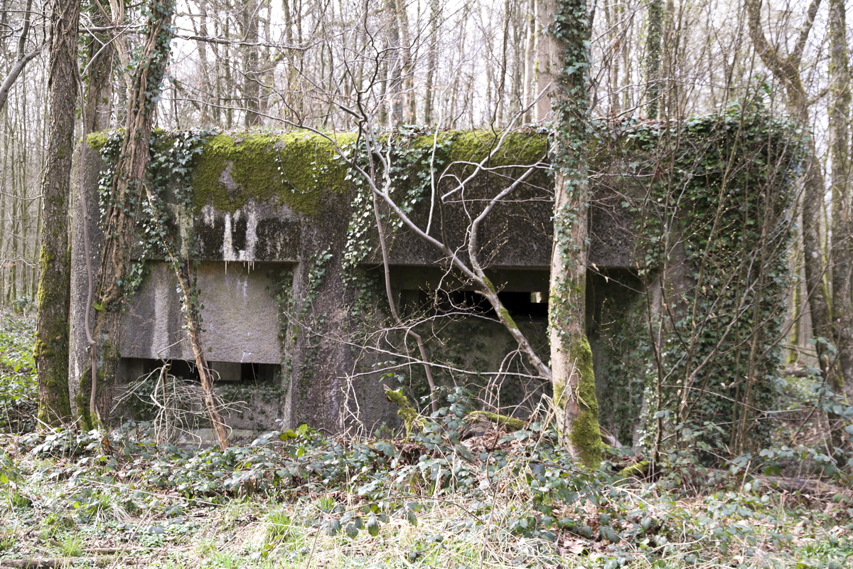 Ligne Maginot - A2 - MACQUENOISE NORD - (Blockhaus pour canon) -  - Alain Perouffe