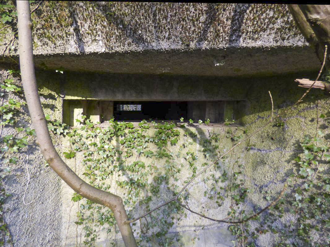 Ligne Maginot - A2 - MACQUENOISE NORD - (Blockhaus pour canon) -  - JMBrams