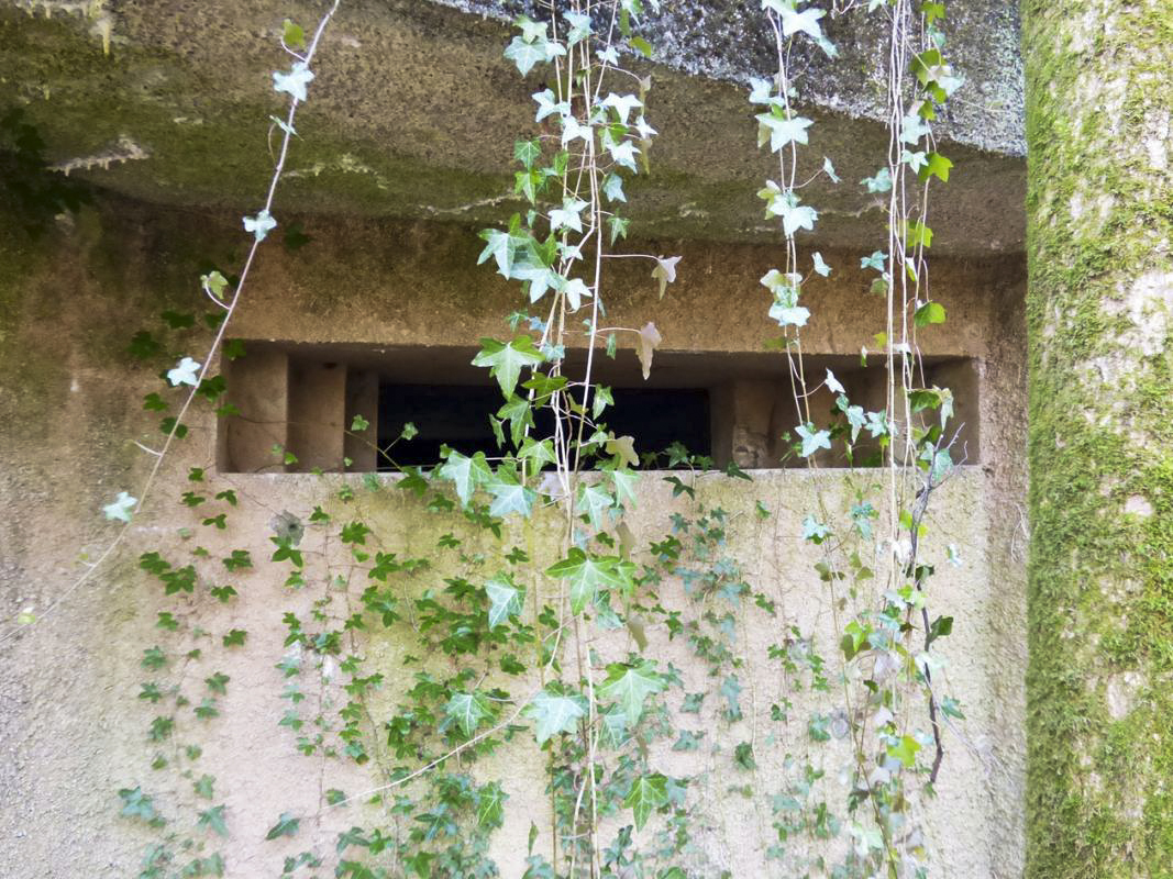 Ligne Maginot - A2 - MACQUENOISE NORD - (Blockhaus pour canon) -  - JMBrams