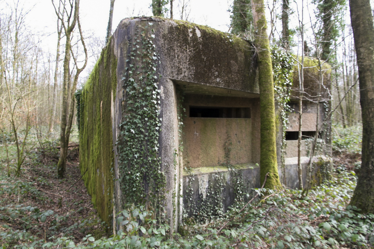 Ligne Maginot - A2 - MACQUENOISE NORD - (Blockhaus pour canon) -  - Alain Perouffe