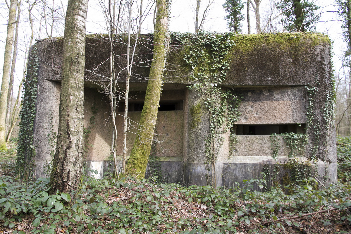 Ligne Maginot - A2 - MACQUENOISE NORD - (Blockhaus pour canon) -  - Alain Perouffe