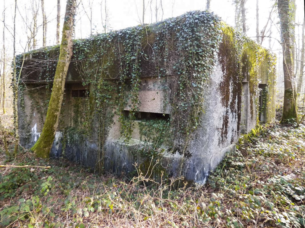 Ligne Maginot - A2 - MACQUENOISE NORD - (Blockhaus pour canon) -  - JMBrams