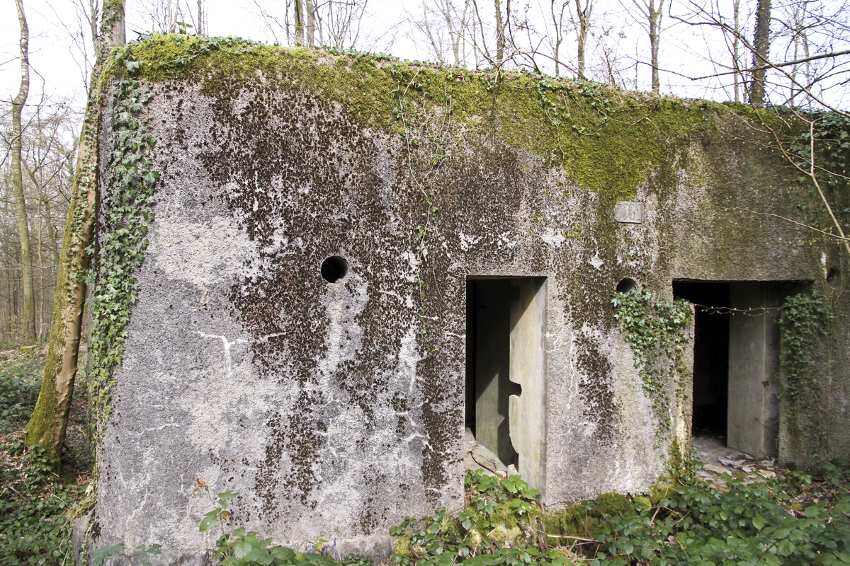 Ligne Maginot - A2 - MACQUENOISE NORD - (Blockhaus pour canon) -  - Alain Perouffe