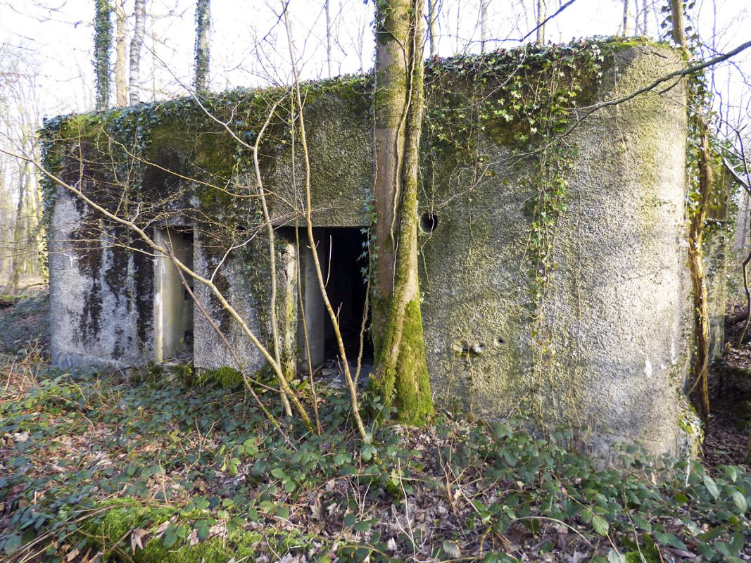 Ligne Maginot - A2 - MACQUENOISE NORD - (Blockhaus pour canon) -  - JMBrams
