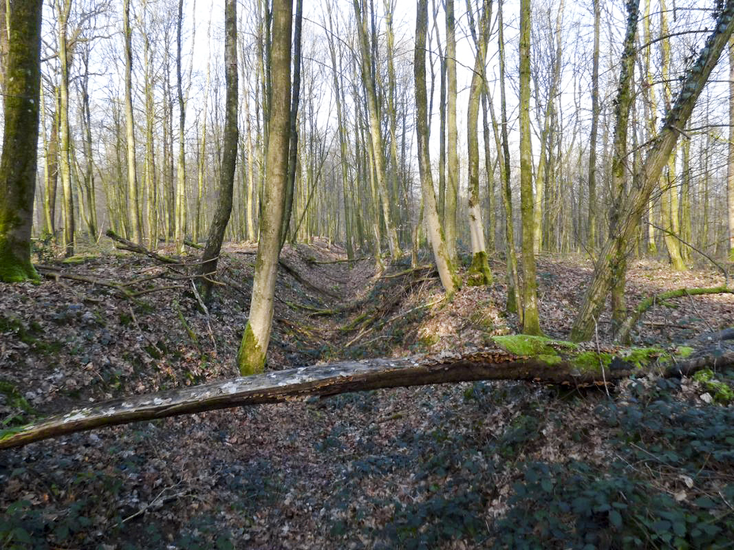 Ligne Maginot - A2 - MACQUENOISE NORD - (Blockhaus pour canon) -  - JMBrams