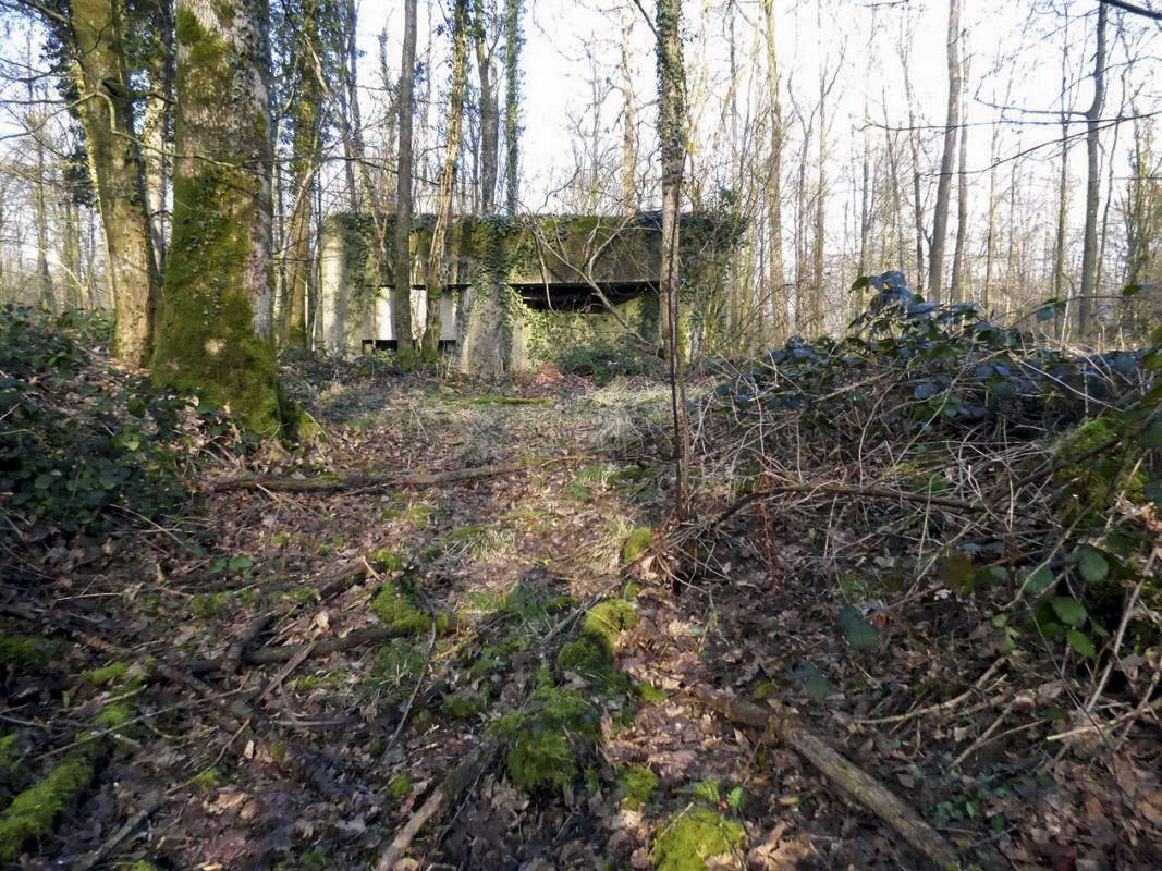 Ligne Maginot - A2 - MACQUENOISE NORD - (Blockhaus pour canon) -  - JMBrams