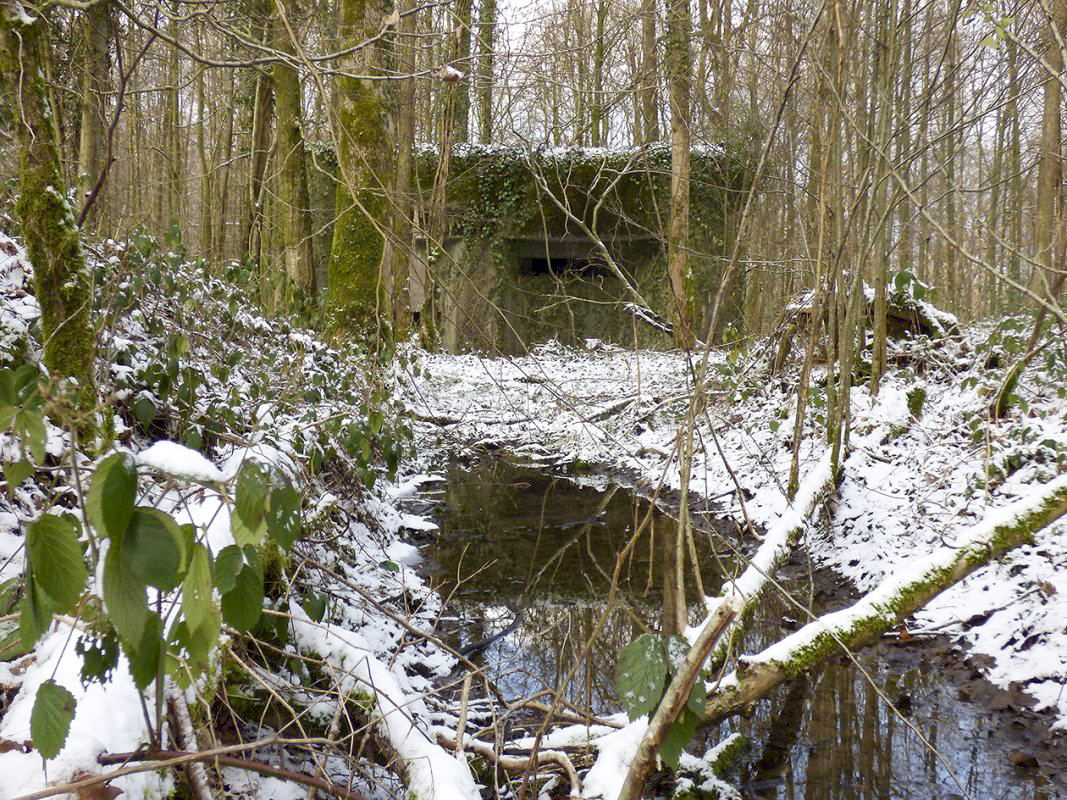 Ligne Maginot - A3 - MACQUENOISE SUD - (Blockhaus pour canon) -  - JMBrams