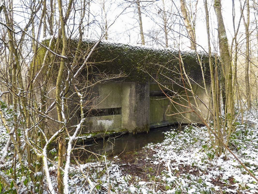 Ligne Maginot - A3 - MACQUENOISE SUD - (Blockhaus pour canon) -  - JMBrams
