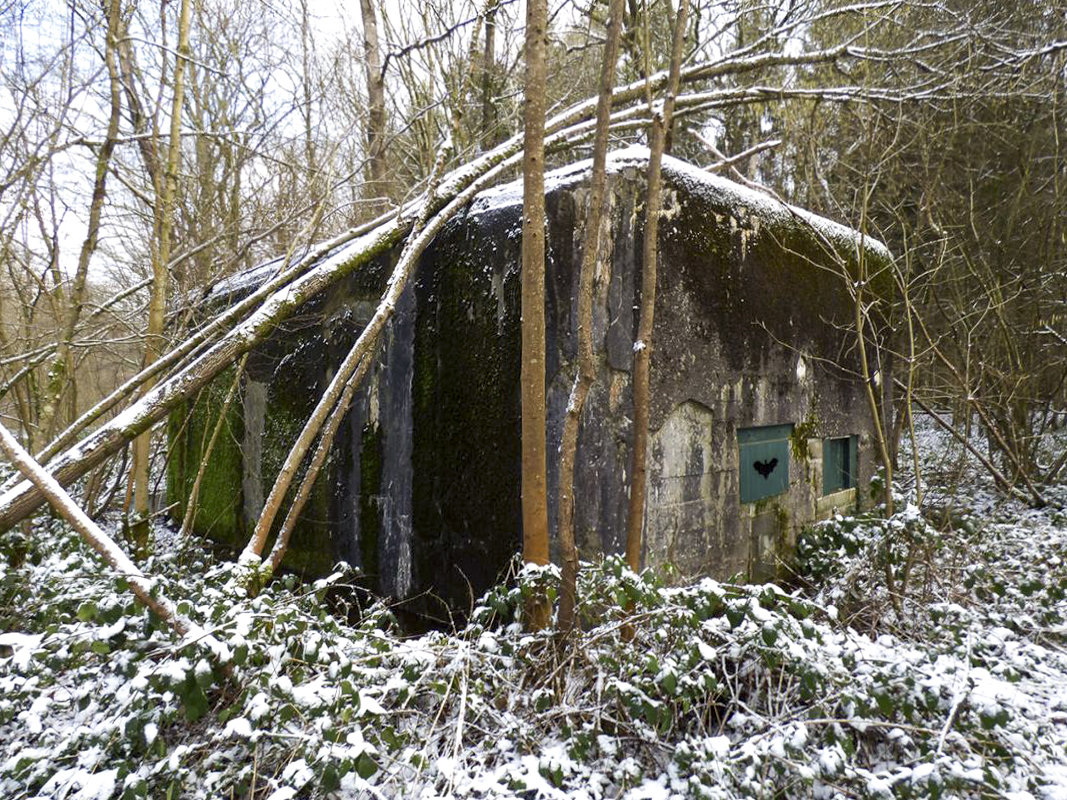 Ligne Maginot - A3 - MACQUENOISE SUD - (Blockhaus pour canon) -  - JMBrams