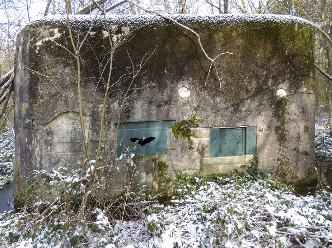 Ligne Maginot - A3 - MACQUENOISE SUD - (Blockhaus pour canon) -  - JMBrams