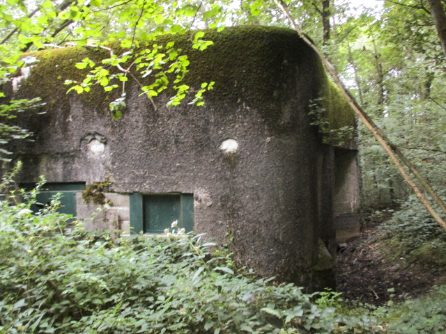 Ligne Maginot - A3 - MACQUENOISE SUD - (Blockhaus pour canon) - Ce blockhaus sert d'abri aux chauves-souris. - Randonneur62