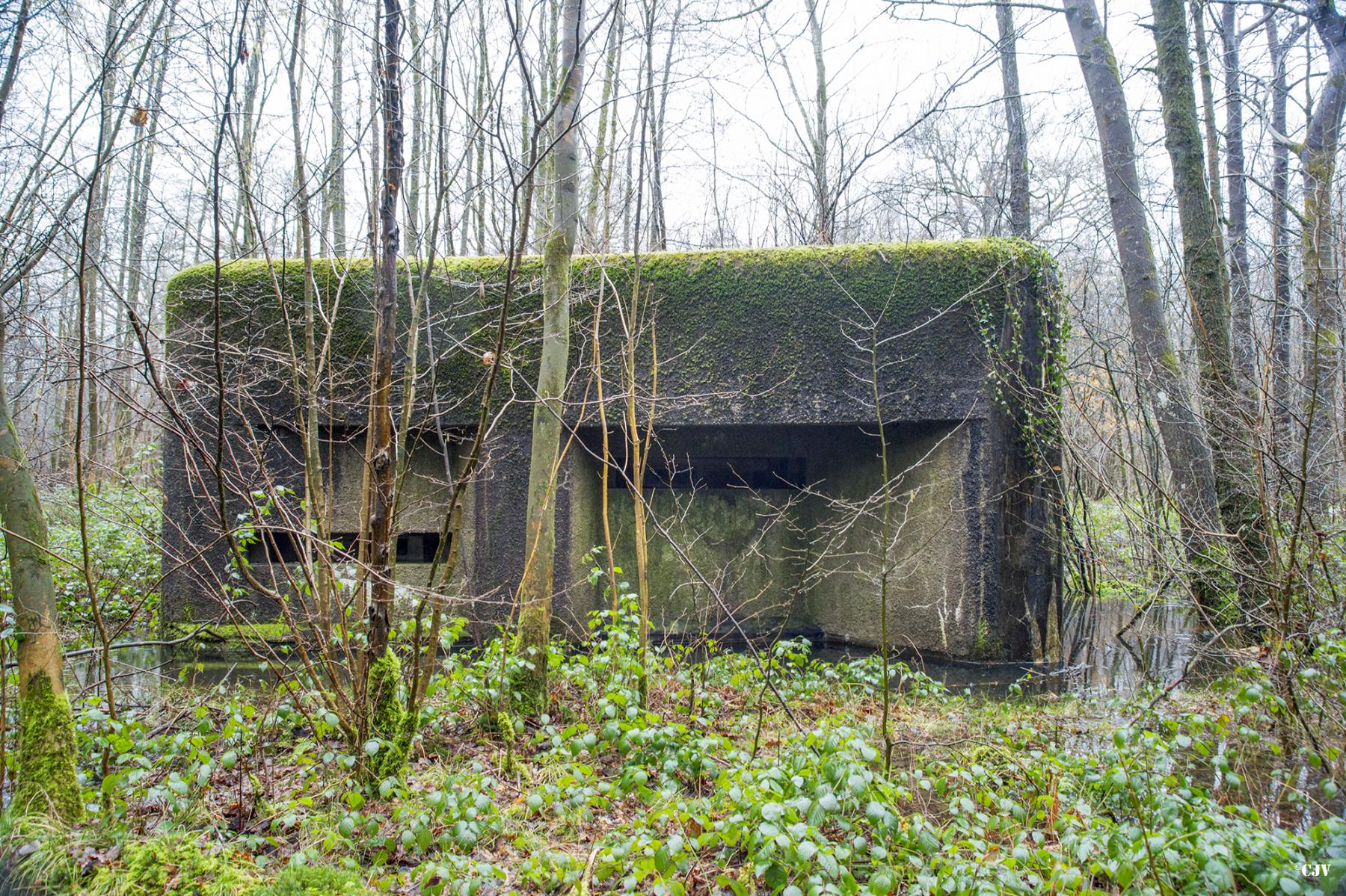 Ligne Maginot - A3 - MACQUENOISE SUD - (Blockhaus pour canon) -  - Lia VERMEULEN