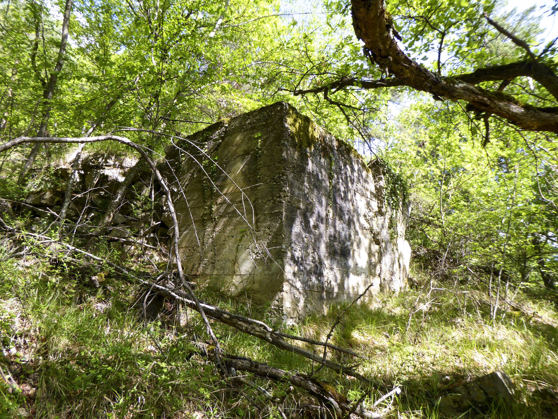 Ligne Maginot - GORDOLON (GN) - (Ouvrage d'artillerie) - Elément probable de chantier de construction, au dessus du bloc 2 - Daniel ELLENA - Philippe CUNY