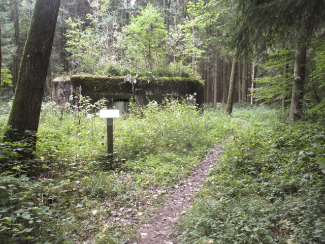 Ligne Maginot - A5 - LE DEBOUCHE - (Blockhaus pour canon) - Situé dans son environnement à proximité d'un fossé antichar. - Randonneur62
