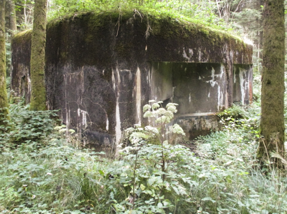 Ligne Maginot - A5 - LE DEBOUCHE - (Blockhaus pour canon) -  - Randonneur62