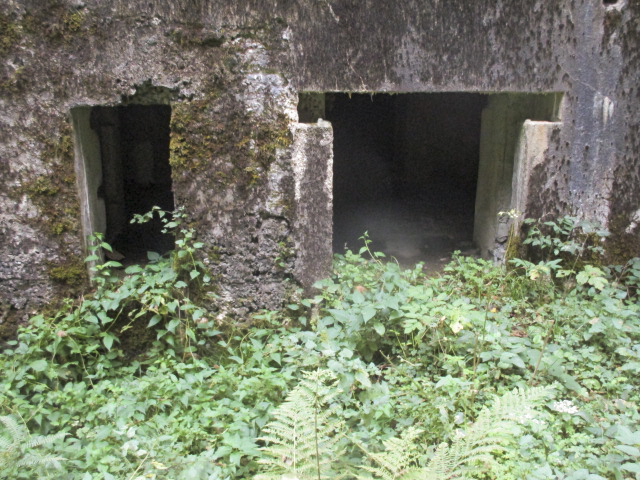 Ligne Maginot - A5 - LE DEBOUCHE - (Blockhaus pour canon) -  - Randonneur62