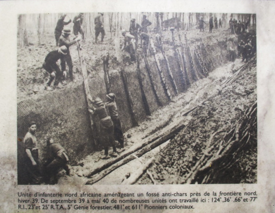 Ligne Maginot - A5 - LE DEBOUCHE - (Blockhaus pour canon) - Plaque explicative implantée à proximité du blockhaus le long du sentier pédestre de découverte. - Randonneur62