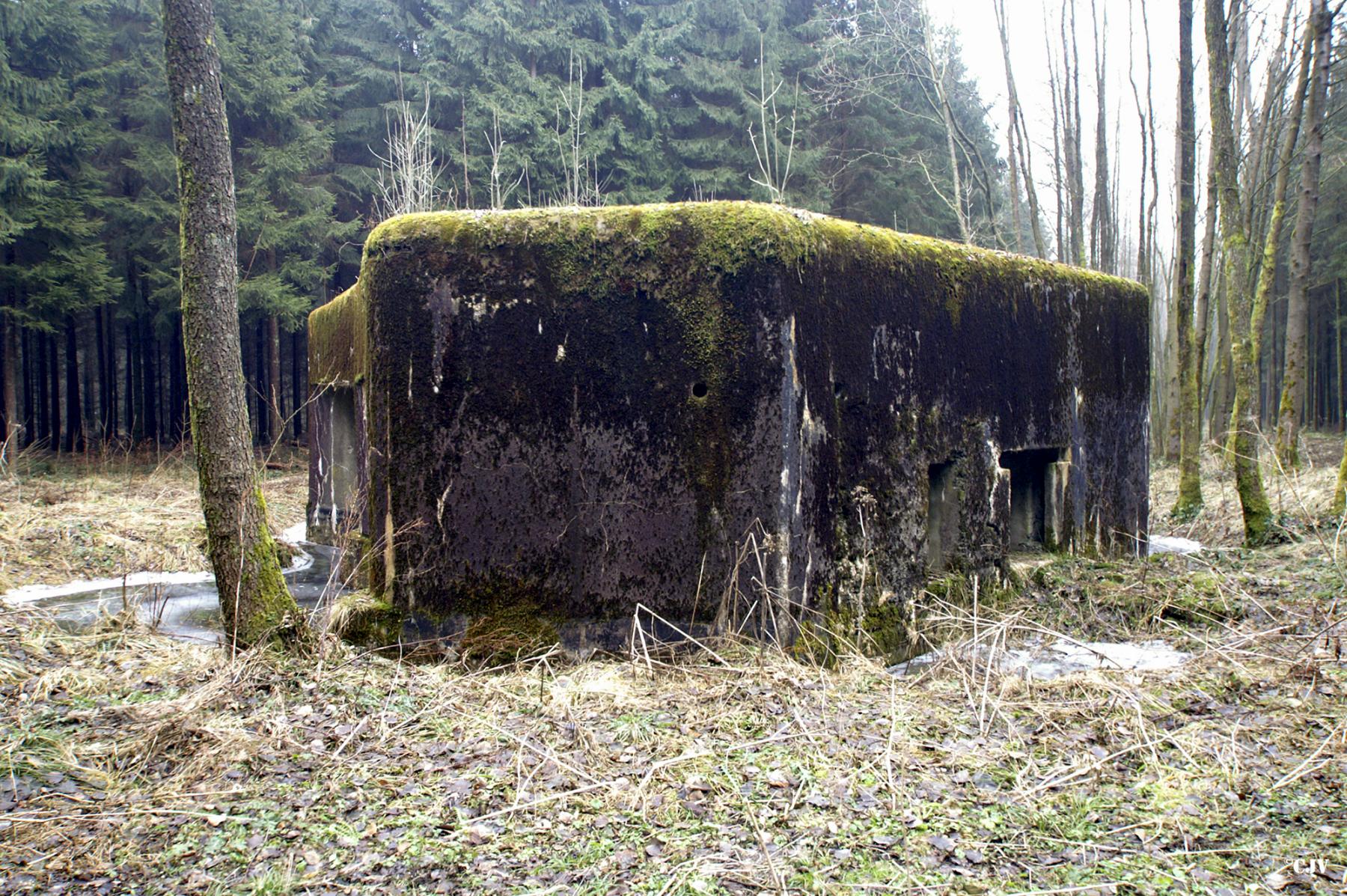 Ligne Maginot - A5 - LE DEBOUCHE - (Blockhaus pour canon) -  - Caspar Vermeulen