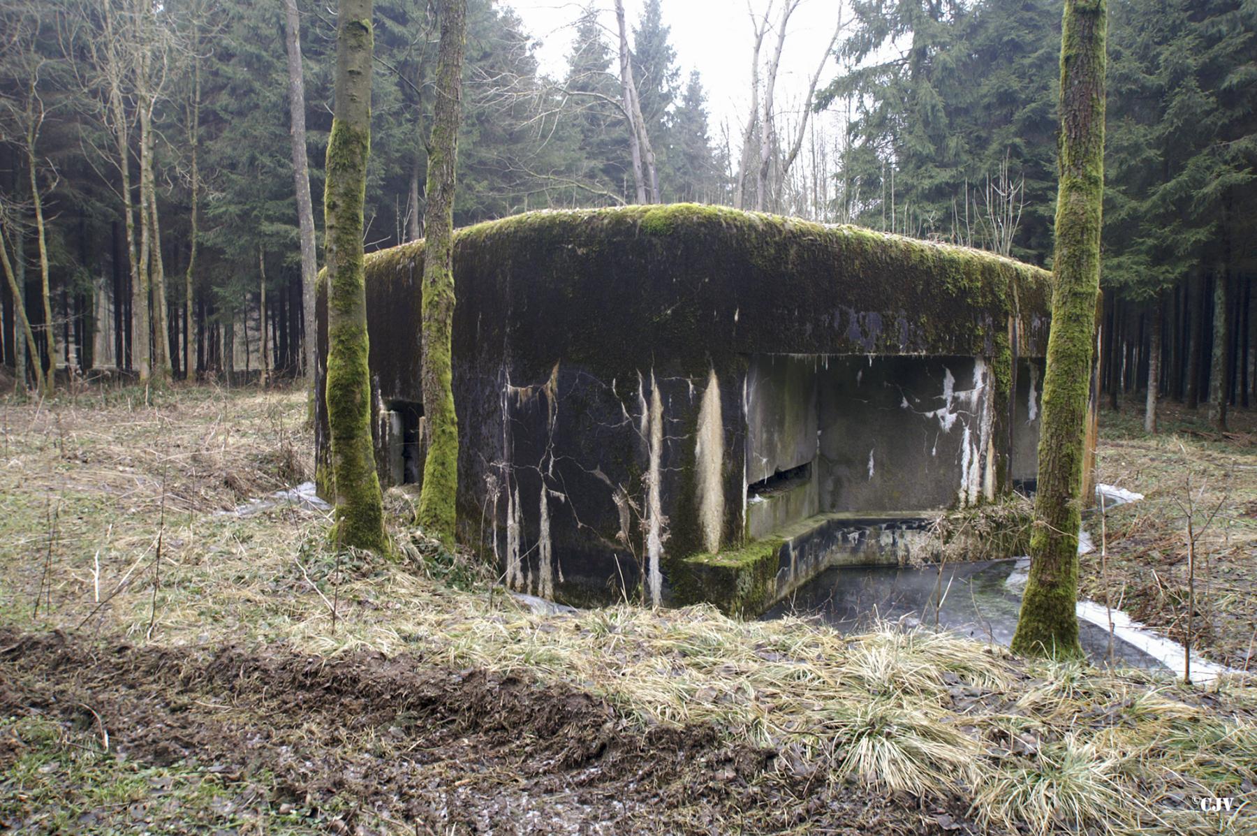 Ligne Maginot - A5 - LE DEBOUCHE - (Blockhaus pour canon) -  - Caspar Vermeulen