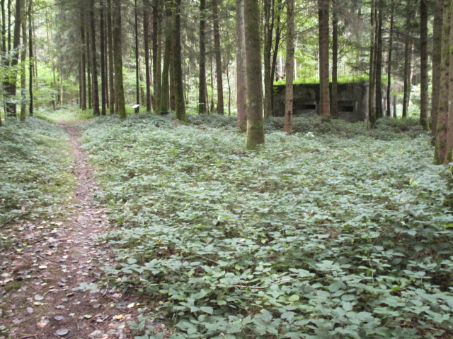 Ligne Maginot - A6 - LA CROUPE - (Blockhaus pour canon) - Blockhaus situé dans son environnement à l'angle d'un fossé antichar à proximité du sentier de découverte. - Randonneur62
