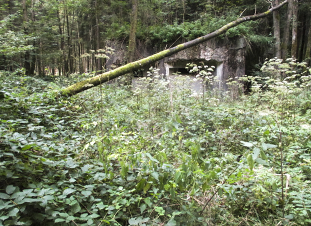 Ligne Maginot - A6 - LA CROUPE - (Blockhaus pour canon) - C'est ici que se trouvait la centrale  à béton, avec sa bétonnière, ses matériaux de construction et les sacs de ciment. - Randonneur62