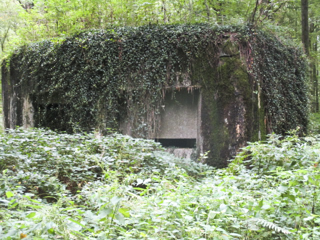 Ligne Maginot - A7 - LE MAMELON OUEST - (Blockhaus pour canon) -  - Randonneur62