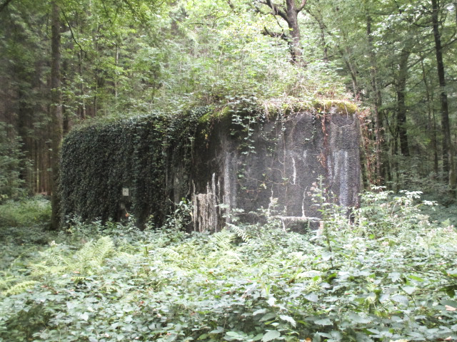 Ligne Maginot - A7 - LE MAMELON OUEST - (Blockhaus pour canon) -  - Randonneur62