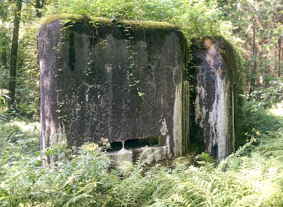 Ligne Maginot - A7 - LE MAMELON OUEST - (Blockhaus pour canon) -  - PAVEL Jan