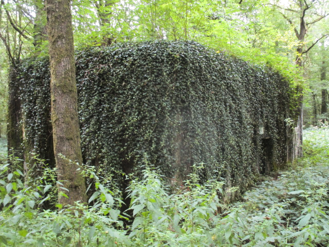 Ligne Maginot - A7 - LE MAMELON OUEST - (Blockhaus pour canon) -  - Randonneur62