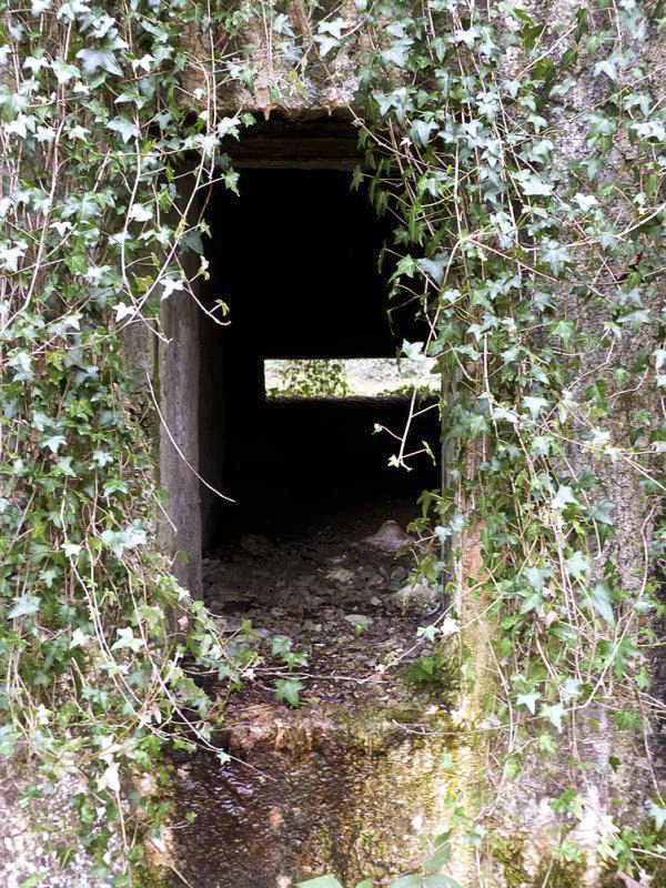 Ligne Maginot - A7 - LE MAMELON OUEST - (Blockhaus pour canon) -  - JMBrams