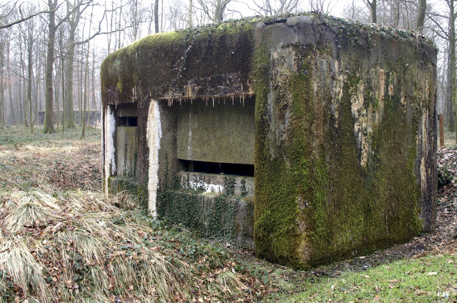 Ligne Maginot - A7 - LE MAMELON OUEST - (Blockhaus pour canon) -  - Caspar Vermeulen