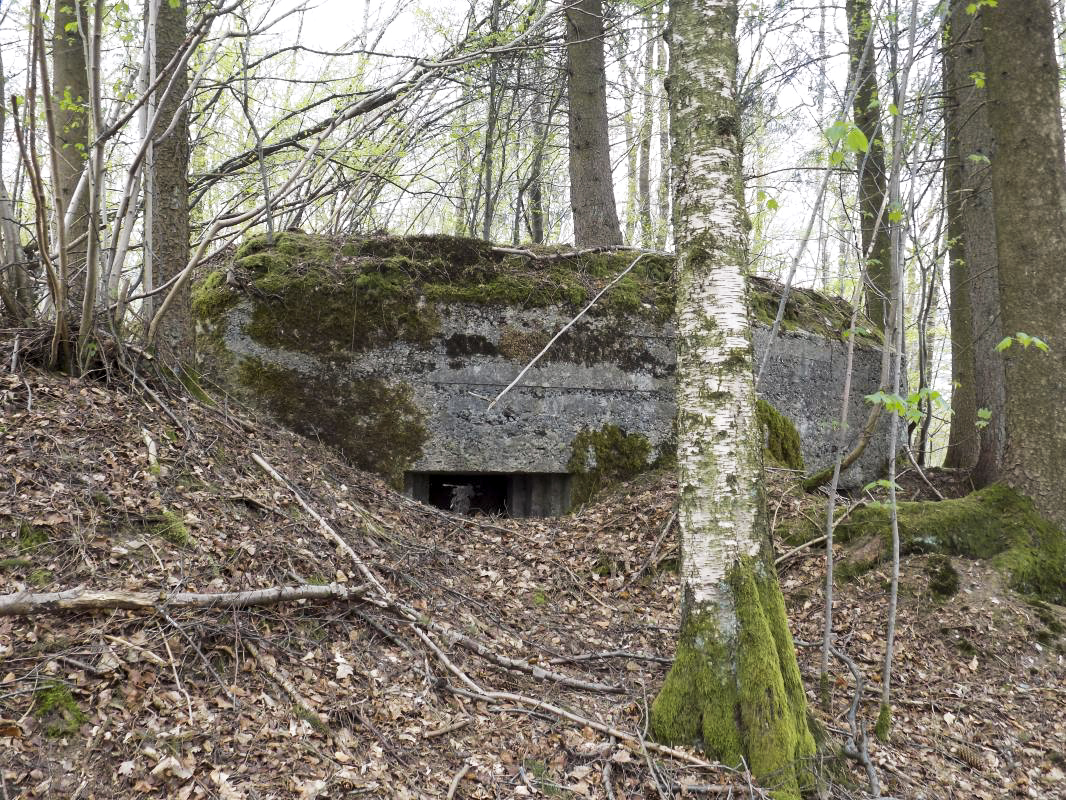 Ligne Maginot - BA104 - ROUTE DE REVIN 1 - (Blockhaus pour canon) - Face frontale créneau droite AC - R Tucker