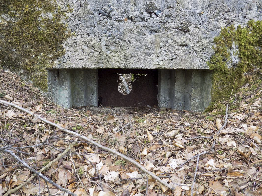 Ligne Maginot - BA104 - ROUTE DE REVIN 1 - (Blockhaus pour canon) - Face frontale créneau droite AC - R Tucker