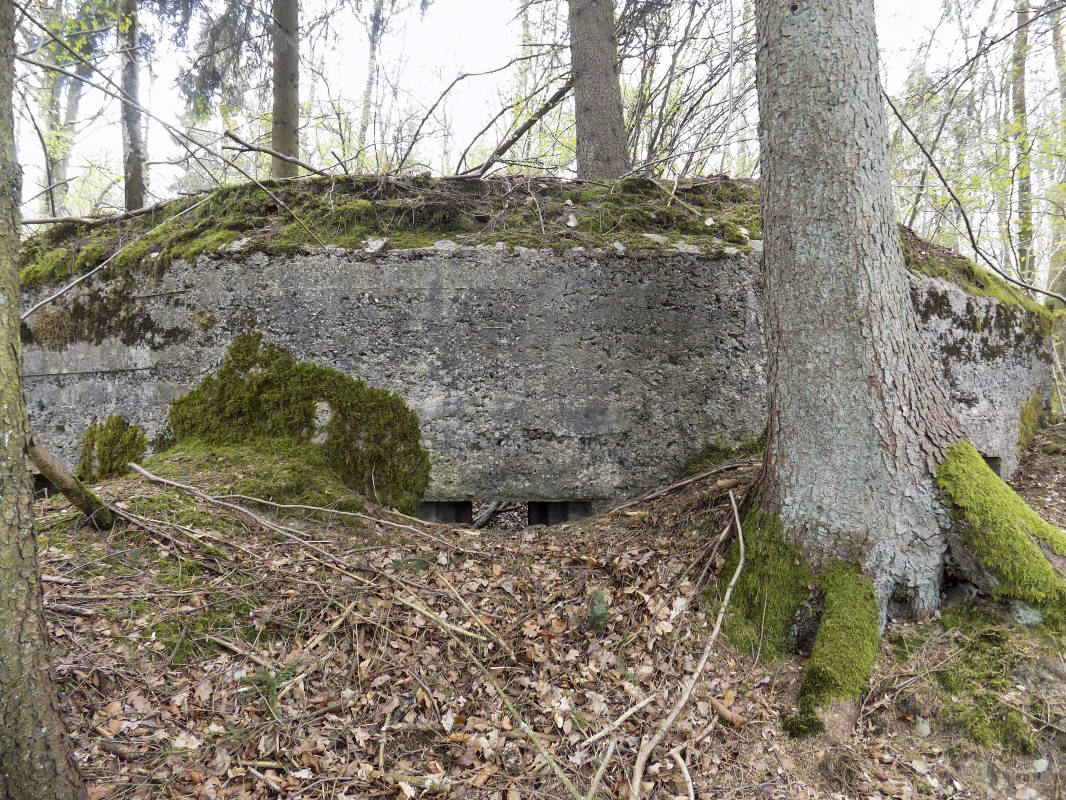 Ligne Maginot - BA104 - ROUTE DE REVIN 1 - (Blockhaus pour canon) - Face frontale créneau centrale Hotchkiss - R Tucker