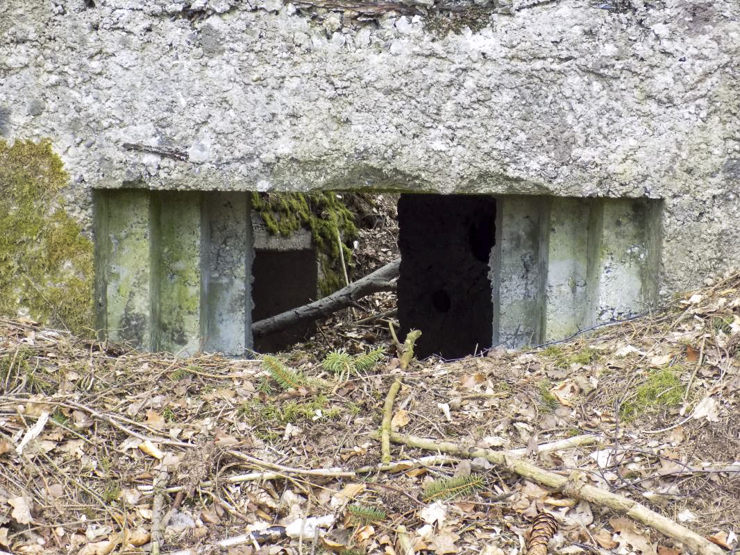 Ligne Maginot - BA104 - ROUTE DE REVIN 1 - (Blockhaus pour canon) - Face frontale créneau gauche AC - R Tucker
